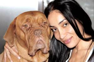 Sofia Hayat Plastic Surgery Before And After Photos