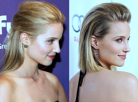 Dianna Agron plastic surgery, Dianna Agron nose job, Dianna Agron rhinoplasty, Dianna Agron photos, cosmetic surgery